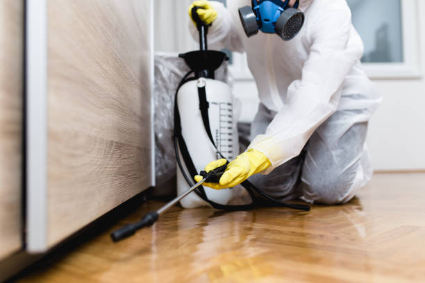 Best Bed Bug Extermination  in Brookside, AL