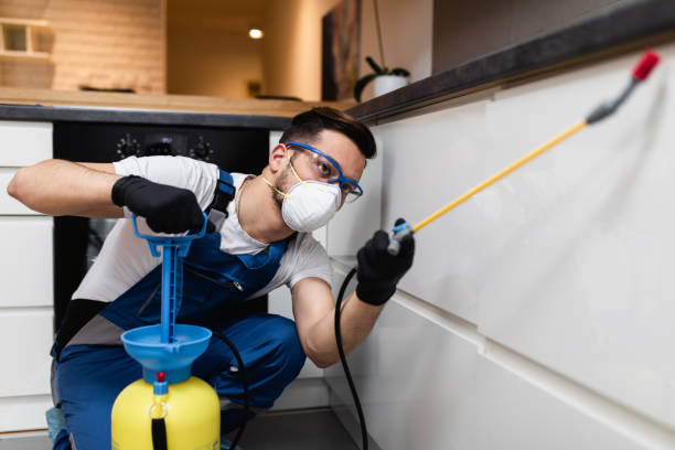 Best Mosquito Control Services  in Brookside, AL