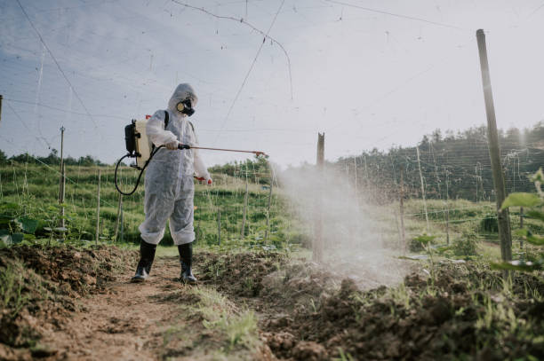Best Ant Control Services  in Brookside, AL