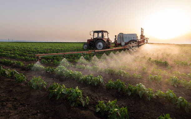 Best Commercial Pest Control Services  in Brookside, AL