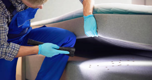 Best Rat Extermination Near Me  in Brookside, AL