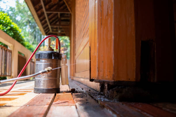 Best Affordable Pest Control Services  in Brookside, AL