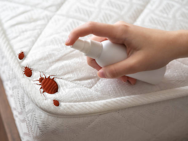 Best Exterminator Services  in Brookside, AL