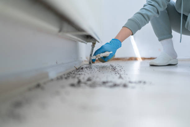 Best Pest Control Treatment  in Brookside, AL