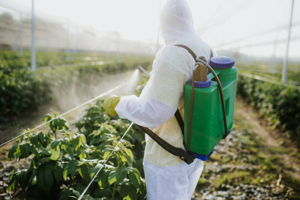 Wildlife Control Services in Brookside, AL